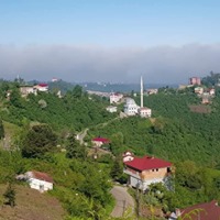 Tirebolu Ortaköy Köyü Resimleri 24