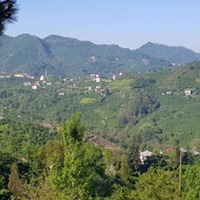 Tirebolu Ortaköy Köyü Resimleri 26