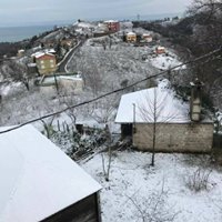 Tirebolu Ortaköy Köyü Resimleri 5