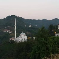 Tirebolu Ortaköy Köyü Resimleri 7