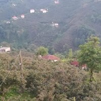 Tirebolu Ortaköy Köyü Resimleri 8