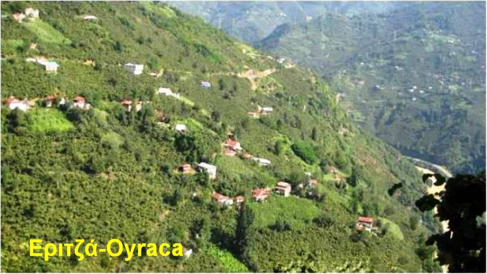 Tirebolu Oyraca Köyü Resimleri 1