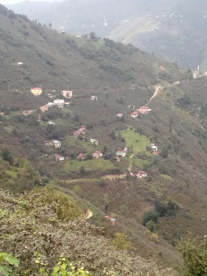 Tirebolu Oyraca Köyü Resimleri 4