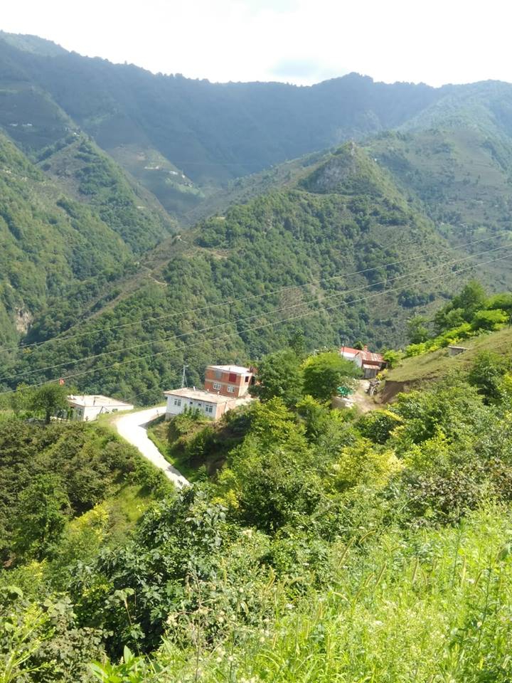 Tirebolu Oyraca Köyü Resimleri 6