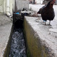 Uşak Belkaya Köyü Resimleri 3