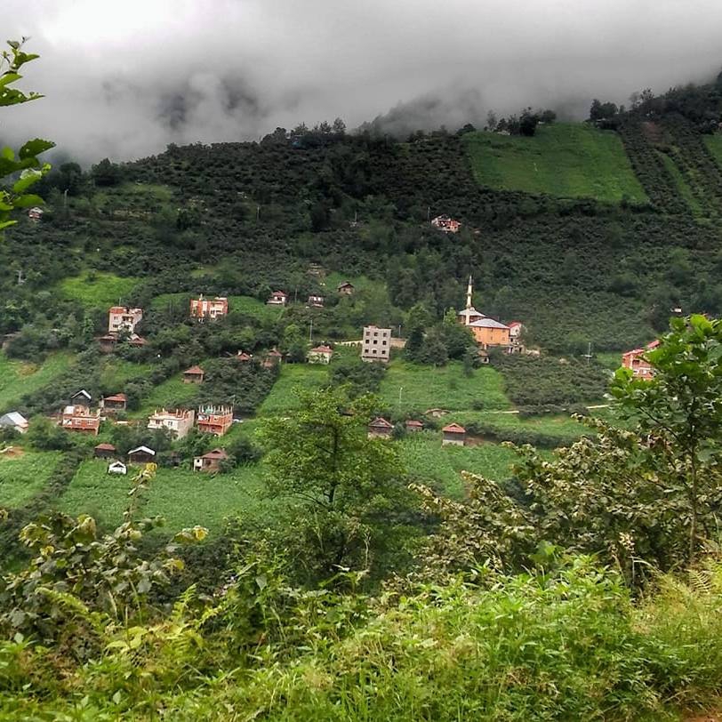 Tirebolu Şenyuva  Köyü Resimleri 1