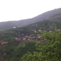 Tirebolu Şenyuva  Köyü Resimleri 14