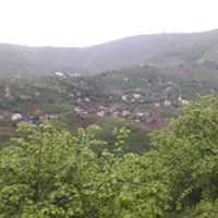 Tirebolu Şenyuva  Köyü Resimleri 15