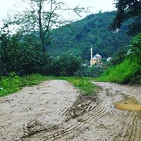 Tirebolu Şenyuva  Köyü Resimleri 3