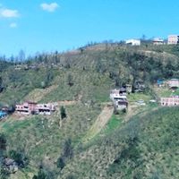 Tirebolu Şenyuva  Köyü Resimleri 4