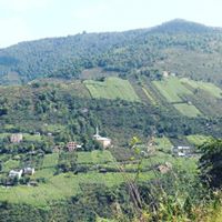 Tirebolu Şenyuva  Köyü Resimleri 6