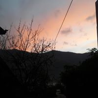 Tirebolu Şenyuva  Köyü Resimleri 9