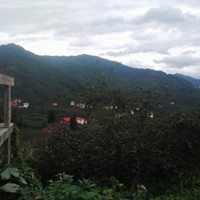 Tirebolu Şirinköy Köyü Resimleri 1