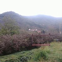 Tirebolu Şirinköy Köyü Resimleri 4