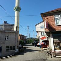 Tirebolu Şirinköy Köyü Resimleri 5