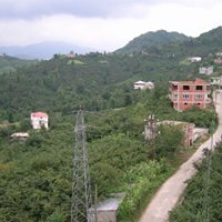 Tirebolu Şirinköy Köyü Resimleri 8