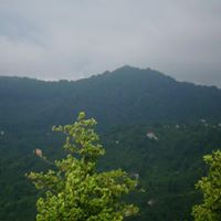 Tirebolu Yağlıkuyumcu Köyü Resimleri 2