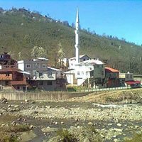 Tirebolu Yağlıkuyumcu Köyü Resimleri 3