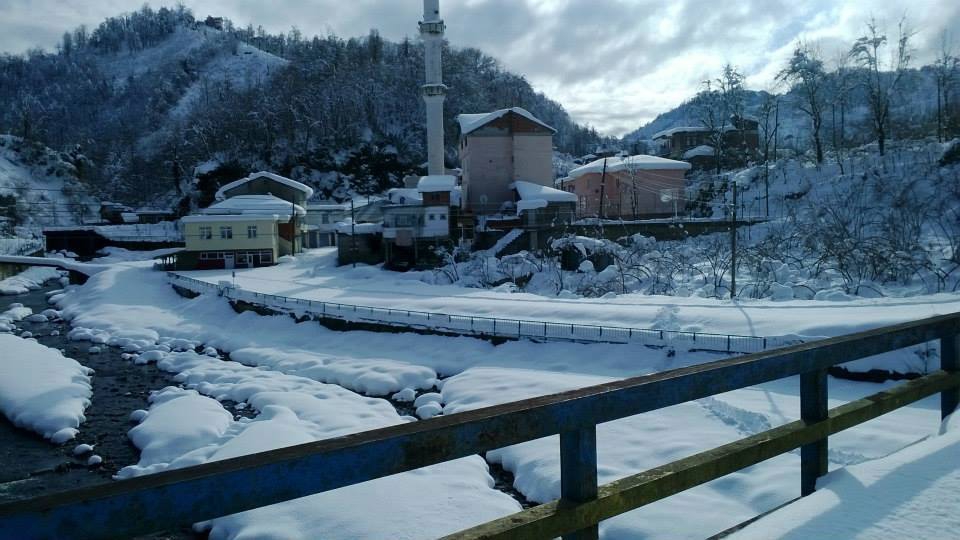 Tirebolu Yağlıkuyumcu Köyü Resimleri 4