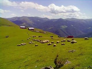 Yağlıdere Akpınar Köyü Resimleri 1