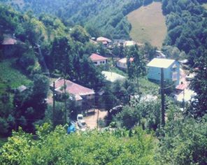 Yağlıdere Güllüce Köyü Resimleri 3