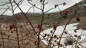 Uşak Çamyazı Köyü Resimleri 6