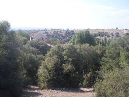 Uşak Çınarcık Köyü Resimleri 7