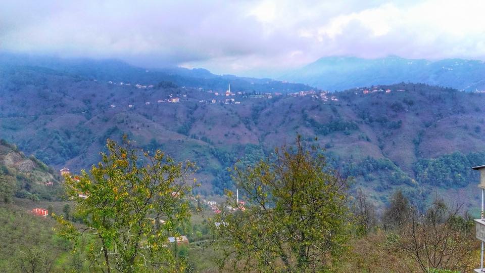 Yağlıdere Kurucalı Köyü Resimleri 4