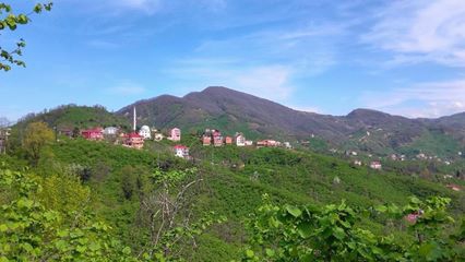 Yağlıdere Kurucalı Köyü Resimleri 6