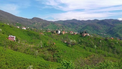 Yağlıdere Kurucalı Köyü Resimleri 7