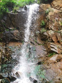 Yağlıdere Ömerli  Köyü Resimleri 1