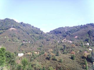 Yağlıdere Ömerli  Köyü Resimleri 2