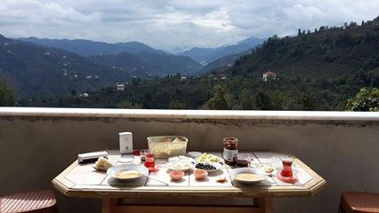 Yağlıdere Ömerli  Köyü Resimleri 4