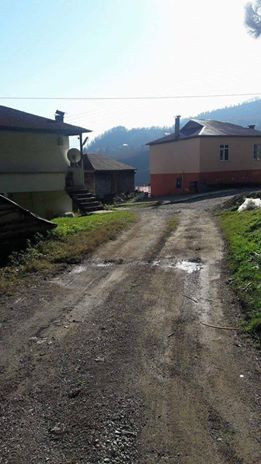 Yağlıdere Ömerli  Köyü Resimleri 6