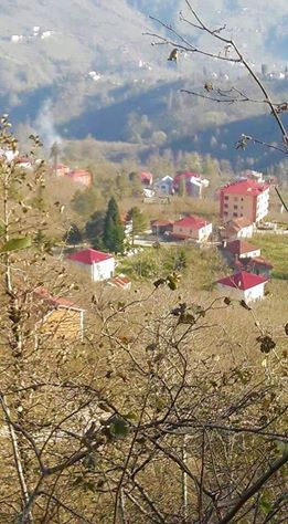 Yağlıdere Ömerli  Köyü Resimleri 7