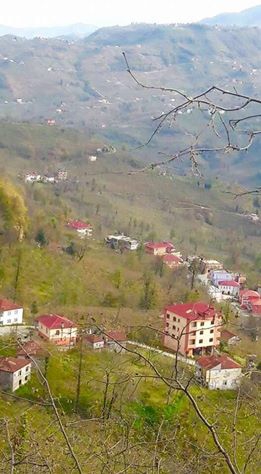 Yağlıdere Ömerli  Köyü Resimleri 8