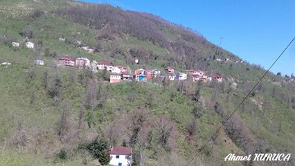 Yağlıdere Ömerli  Köyü Resimleri 9