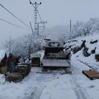 Yağlıdere Umutbükü Köyü Resimleri 1