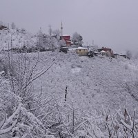 Yağlıdere Umutbükü Köyü Resimleri 12