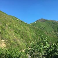 Yağlıdere Umutbükü Köyü Resimleri 7