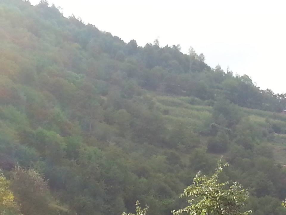 Yağlıdere Yeşilpınar Köyü Resimleri 1