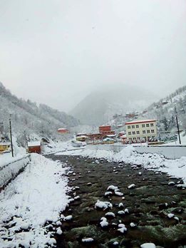 Yağlıdere Yeşilpınar Köyü Resimleri 3