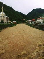 Yağlıdere Yeşilpınar Köyü Resimleri 4