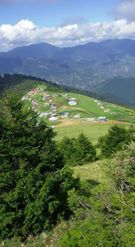 Yağlıdere Yeşilpınar Köyü Resimleri 7