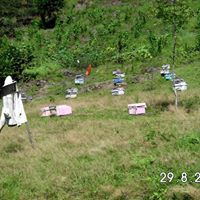 Giresun Akköy Köyü Resimleri 15