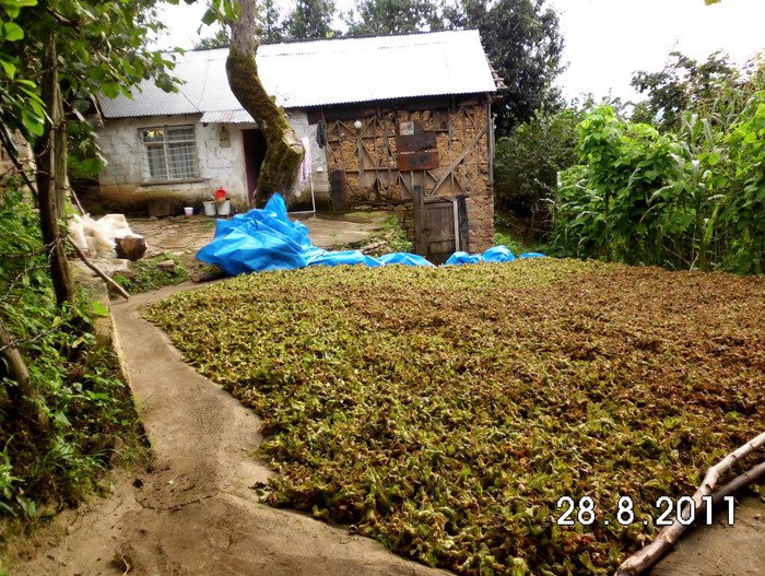 Giresun Akköy Köyü Resimleri 17