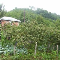 Giresun Akköy Köyü Resimleri 3