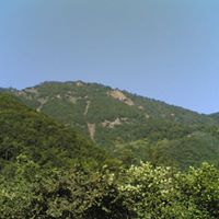 Giresun Akköy Köyü Resimleri 8