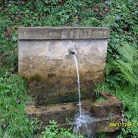 Giresun Güney Köyü Resimleri 10