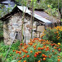 Giresun Güney Köyü Resimleri 11